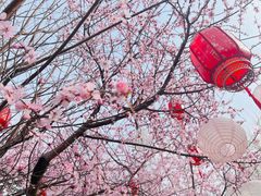 -三里河公园