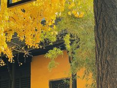 -红梅公园