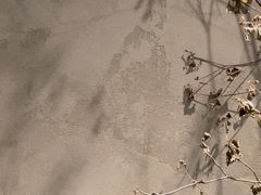 -RUMORS COFFEE ROASTERY鲁马滋咖啡(湖南路店)