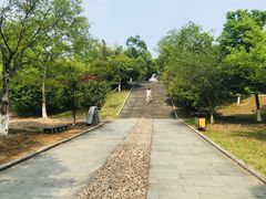 -金钉子远古世界景区