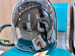 -米苏动物医院·犬猫专科·骨科外科内窥镜