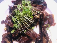 -北京紫金宫饭店