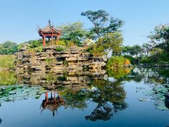 -顺峰山公园