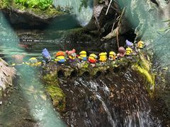 -太平洋海底世界