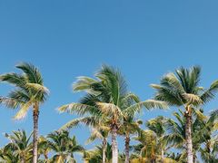 -三亚西岛海洋文化旅游区