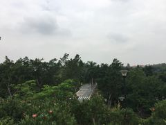 -仙湖旅游度假区