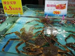 水产区-渔民新村(番禺总店)