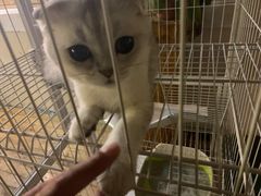 -0907餐厅(核桃园店)