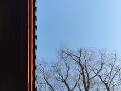 -骏途旅游
