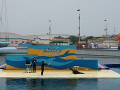 -秦皇岛乐岛海洋王国