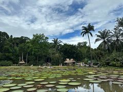 -中国科学院西双版纳热带植物园