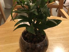 -猫的天空之城概念书店(苏州诚品店)