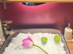 -辉·四季料亭·怀石料理·深夜食堂烧鸟·Omakase