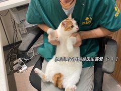 -御宝贝24h宠物医院·转诊中心·CT核磁血透中心(厦门总院)