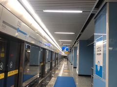 -大龙山(地铁站)