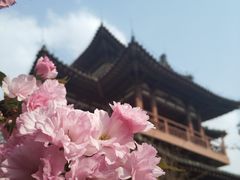 -西安青龙寺遗址景区
