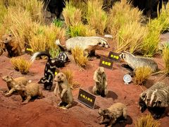 -陕西自然博物馆