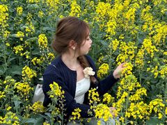 -三圣花乡旅游区