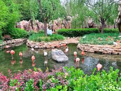 -北京野生动物园