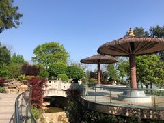 -铁山坪森林公园