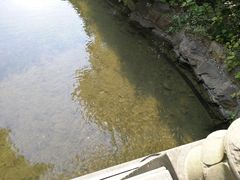 -西湖外事游船(花港观鱼码头)