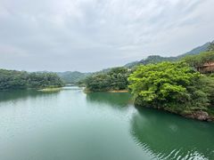 -佛山市三水区大南山森林公园