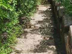 -云岫谷游猎自然风景区