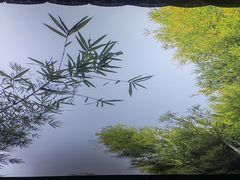 -江南韵·无锡太湖文化体验餐厅(凤凰天街店)