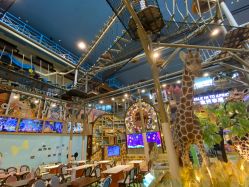 -卡通尼·Safari非洲探索乐园·生日会(金桥国际商业广场店)