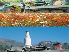 -普陀山风景名胜区-千步大沙