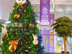 圣诞餐厅-寻味顺德·珍之宝酒楼(银钻店)