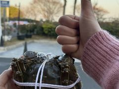 -品鲜村农家菜·阳澄湖大闸蟹(总店)