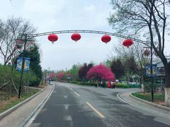 -石家庄市动物园