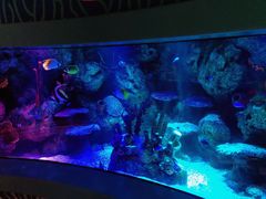 -沈阳海洋探索中心