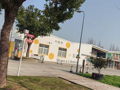 -前小桔亲子创意农场·草莓采摘·露营烧烤