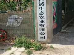 -大自然农场蔬菜草莓采摘园