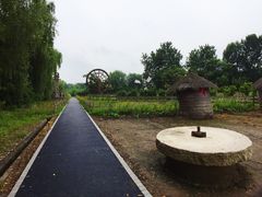 -溱湖国家湿地公园