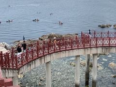 -海岛日记(养马岛店)