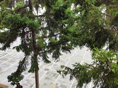 -西宁市东关清真大寺
