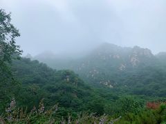 -大岭沟猕猴桃谷风景区