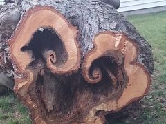 -清真·老陈家烩菜(东新街总店)