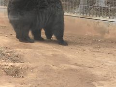 -昆明动物园