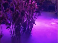 -淀里船宴(卓达店)