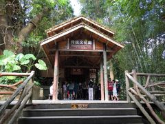 -海南槟榔谷黎苗文化旅游区