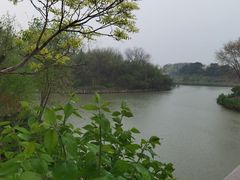 -塘沽森林公园