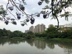-金山公园