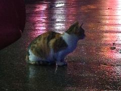 -大润发(花雨店)