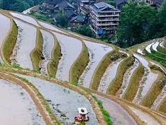 -龙脊梯田