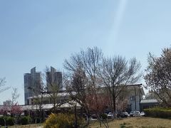 -绿岛公园(滨海新区)