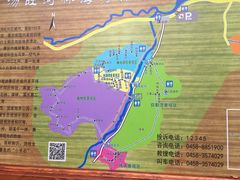-汤旺河林海奇石景区
